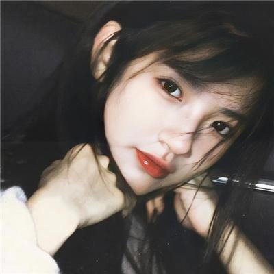 汪星人的奇思妙想