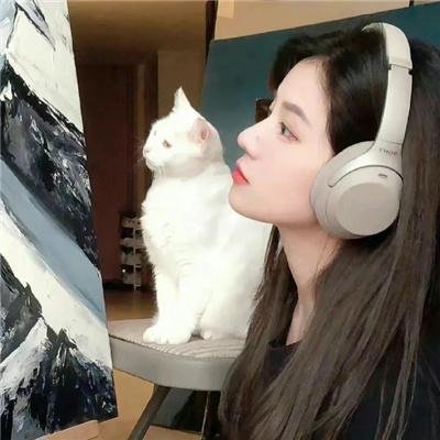 黑幕追凶